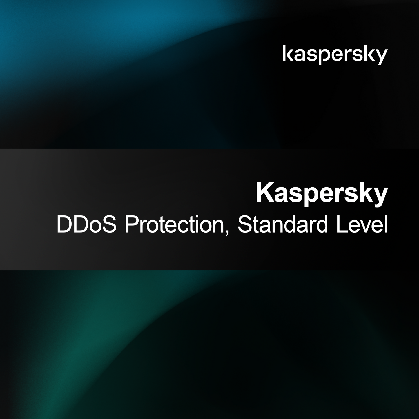 Kaspersky Proteção DDoS, Nível Padrão